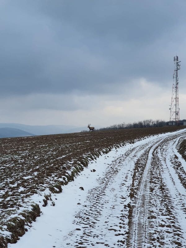 Natură & infrastructură